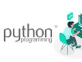 TOP 3 PROGRAMMING LANGUAGES TO LEARN IN 2025