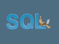 Top 7 Udemy Courses to Learn SQL in 2025