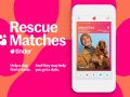 Tinder finds a better use by adding adoptable dogs to its app in celebration of National Dog Week