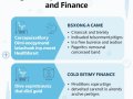 AI Agents in Healthcare and Finance