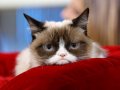 Why you can hate your first programming job and how to handle it