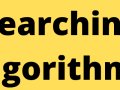 Common Searching Algorithms in JavaScript: A Practical Guide ✨