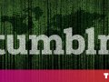 Reddit’s data hoarders are frantically trying to save Tumblr’s NSFW content