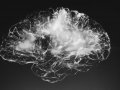 New Data Processing Module Makes Deep Neural Networks Smarter