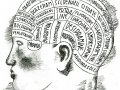 The Endlessly Examined Life (2014)