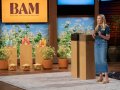 Milk on a mission: California entrepreneur introduces buckwheat milk to America on ‘Shark Tank’