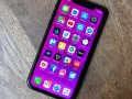 These pieces of broken glass likely show the colors of Apple’s iPhone XR sequel