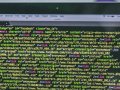 These programming languages have the highest salaries