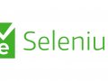 What is Selenium for web development?