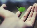How One Simple Tool Helped Me Earn $500 in a Week