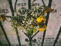 Is Artificial Intelligence Dead?