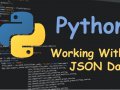 How to Work With JSON Data in Python
