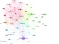 How To Use Powerful Langchain Embeddings