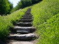 Steps to Set Credible Sustainability Goals