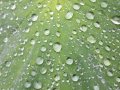 Native Graph-Database Storage
