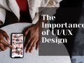 Is UI/UX Design the Key to Thriving Tech Startups? Answers Inside!