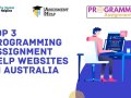Top 3 Programming Assignment Help Websites In Australia