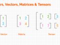 Introduction to Vectors and Matrices using Python for Data Science