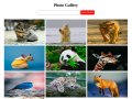 Svelte Tutorial: Building a Photo Gallery for Beginners — PartOne