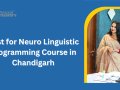 Personal Mastery — Best for Neuro Linguistic Programming Course in Chandigarh