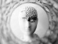 The Power of Human Imagination