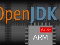 Red Hat ported OpenJDK to 64-bit ARM: A community history