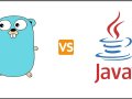 Golang vs. Java: A Comparative Study of Libraries and Performance