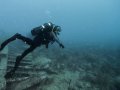 The Seafloor is Dissolving Because of Climate Change