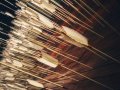What is an Adversarial Attack in Machine Learning and Deep Learning