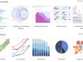 Unlock the Magic of Data: How to Create Stunning Interactive Plots in Python with Plotly Express ?✨