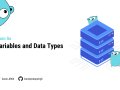 Go Variables, Constants, and Data Types Explained