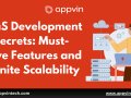SaaS Development Secrets: Must-Have Features and Infinite Scalability