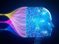 DeepSeek goes beyond “open weights” AI with plans for source code release