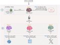 AI Agents — From Concepts to Practical Implementation in Python