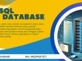 085219507377 (WA) Training MySQL Database Untuk Guru Areta Training Center Bener Meriah