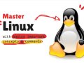 Master Linux 0 to 100 — with just these commands