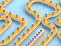 A Vaccine Enrollment Mess of Epidemic Proportions