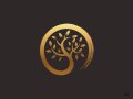 Master Tree ? DSA questions