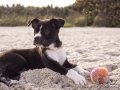 useFetch and Custom React Hooks