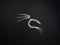 Kali Linux switches to ZSH as the default shell