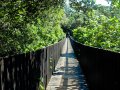 I Walked 10,000+ Steps Every Day for 30 Days — Here’s What Happened
