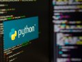Python Dasar: Belajar menampilkan Output