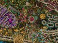 “Exploring The Wonders Of The Microscopic World”