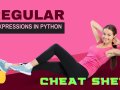 The ultimate Regular Expressions Cheat Sheet in Python with sample code