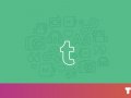 Tumblr reemerges on the App Store after controversial NSFW purge