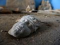 Are we on the road to civilisation collapse?