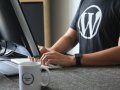 Success With WordPress — The Best Plugins