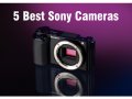 5 Best Sony Cameras