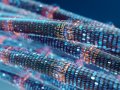 Not all broadband is created equal