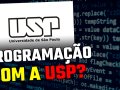 Guia Completo: Programação com Python da USP para Iniciantes